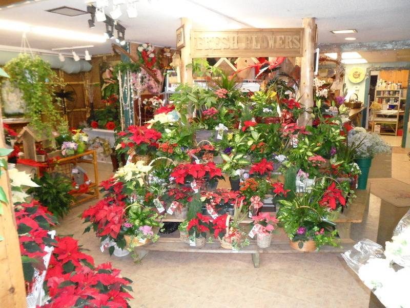 Holdens Florists (DUNDAS) Inc. | 44 York Rd, Dundas, ON L9H 1L4, Canada | Phone: (905) 628-2411