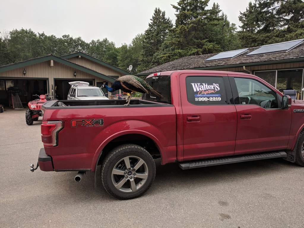 Walters Custom Window & Door replacement Winnipeg| window & door | 62 Kirlystone Way, Winnipeg, MB R2G 3B5, Canada | Phone: (204) 999-2219