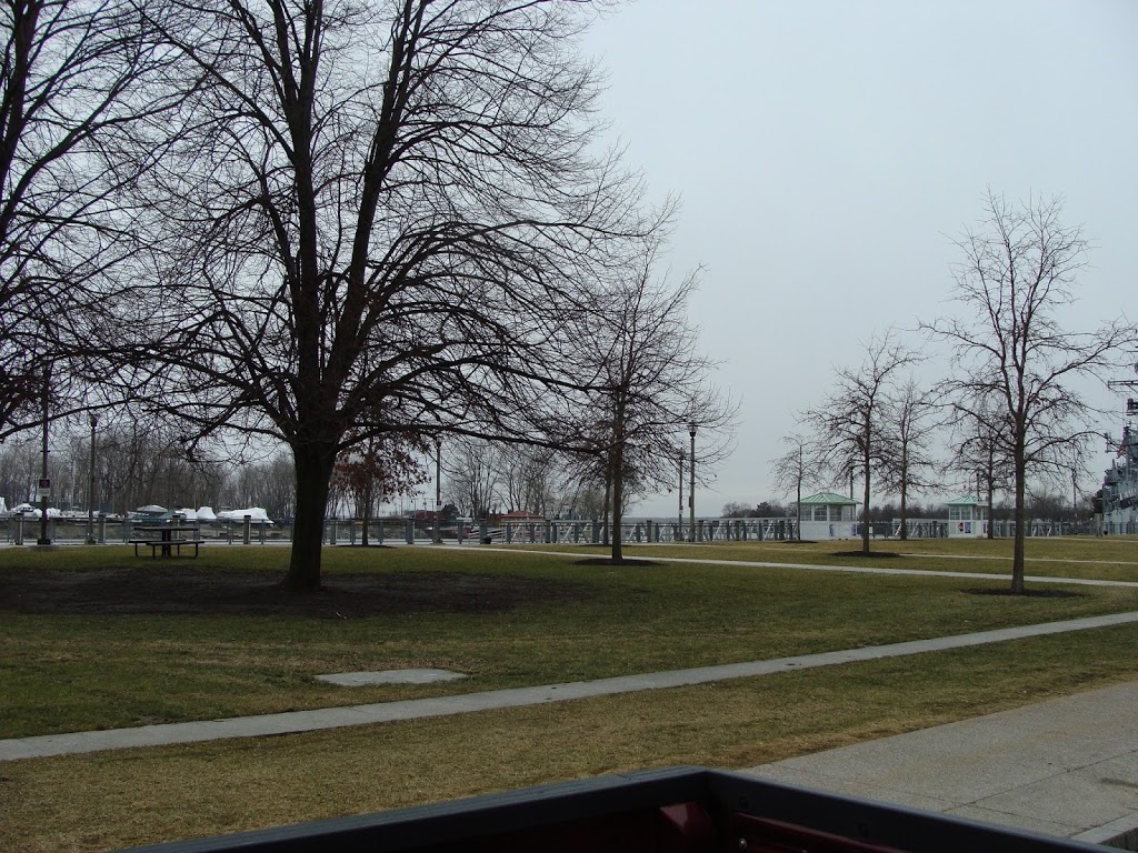 Budding Tree Yoga | 2151 Transit Rd, Elma, NY 14059, USA | Phone: (716) 597-5759