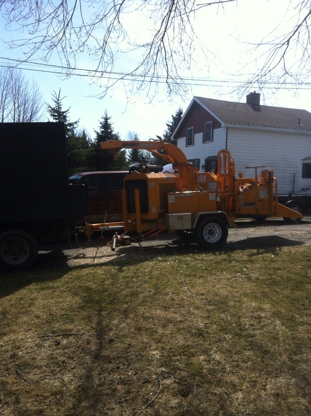 Huron Bay Tree Service | 79 Heather Lynn Blvd, Tara, ON N0H 2N0, Canada | Phone: (519) 934-3545