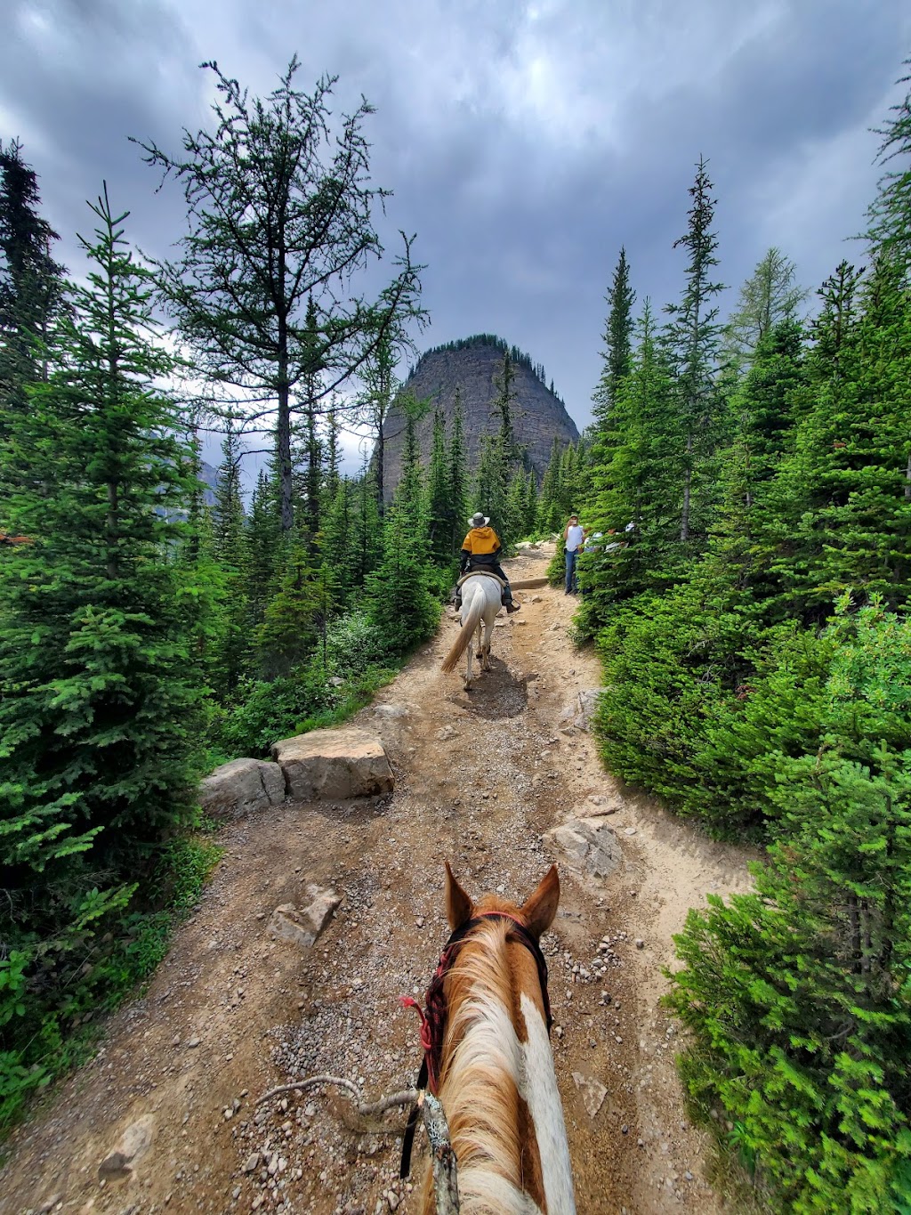 Timberline Tours Ltd | 101 St Piran Rd, Lake Louise, AB T0L 1E0, Canada | Phone: (403) 522-3743