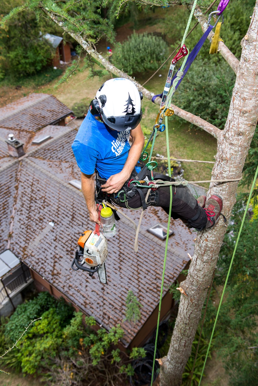 Peak Trees | 6566 Pinehurst Dr, Vancouver, BC V5X 4P1, Canada | Phone: (778) 318-9442