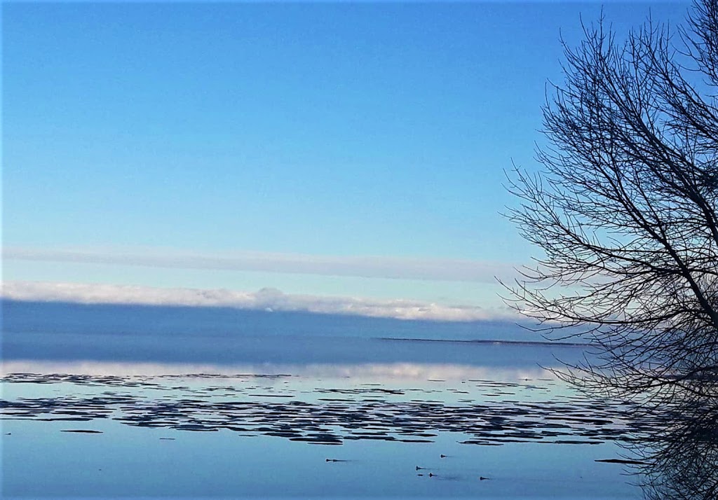 Cindy Snow - Forest Hill Real Estate Inc., Brokerage | Lakeshore Rd E, Hawkestone, ON L0L 1T0, Canada | Phone: (705) 229-7321
