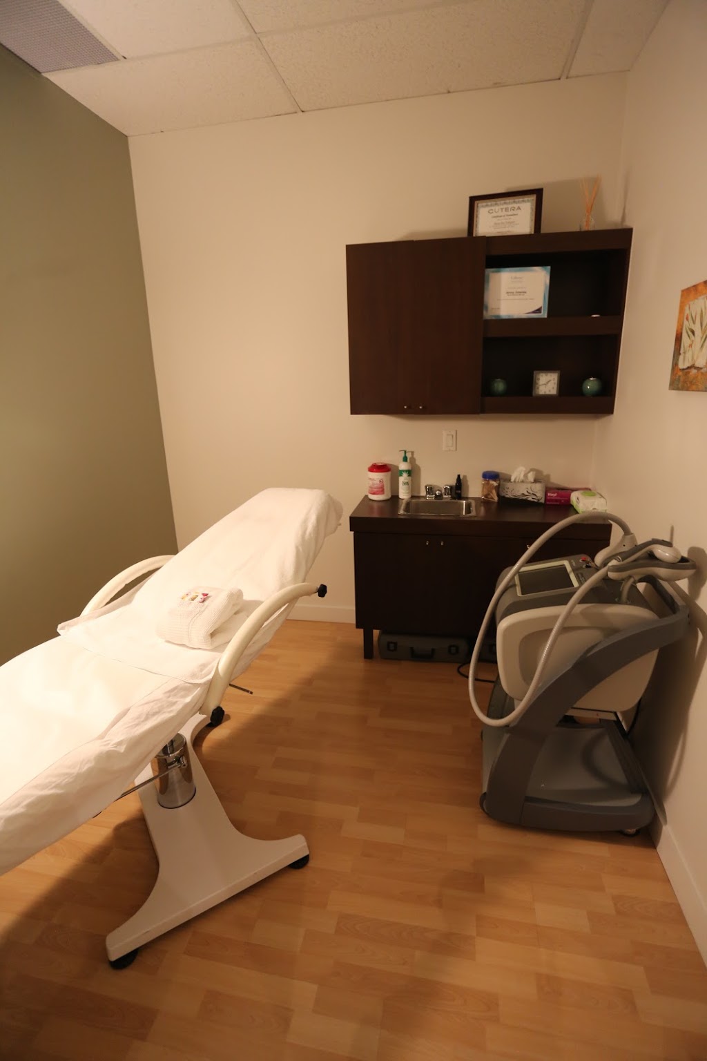 Dermis Advanced Skin Care Ottawa - Laser Hair Removal, Waxing, A | 116 Albert St #110, Ottawa, ON K1P 5G3, Canada | Phone: (613) 233-7546