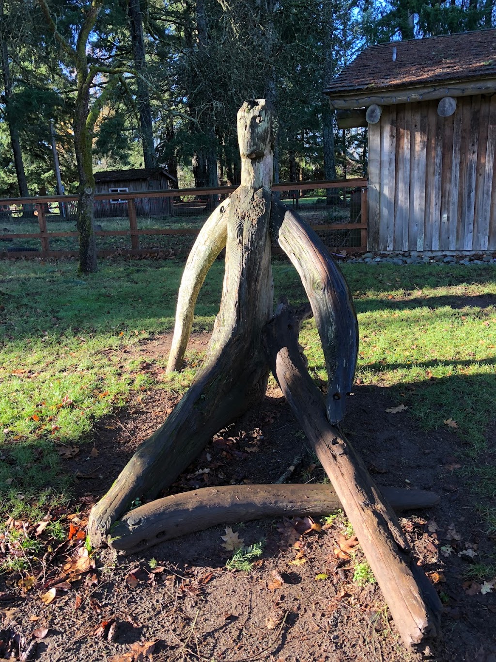 Filberg Park | 61 Filberg Rd, Comox, BC V9M 2S7, Canada | Phone: (250) 339-2715