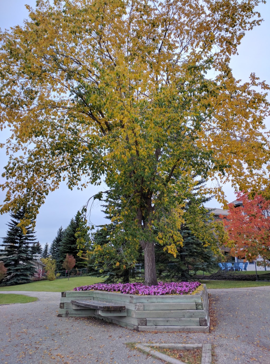 Scenic Acres Park | Calgary, AB T3L 1N4, Canada