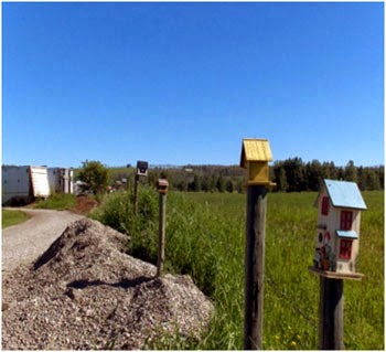 Wagons West RV Park & Storage | 103 5446 Hwy 584, Sundre, AB T0M 1X0, Canada | Phone: (403) 638-4402