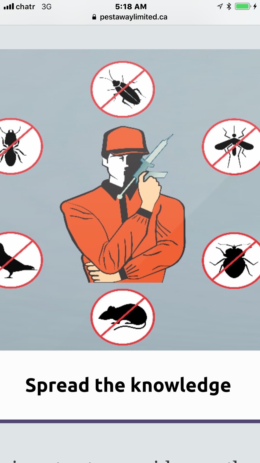 Pest Away Limited | 17 Cotswold Ct, Brampton, ON L6T 1Z8, Canada | Phone: (647) 707-3663