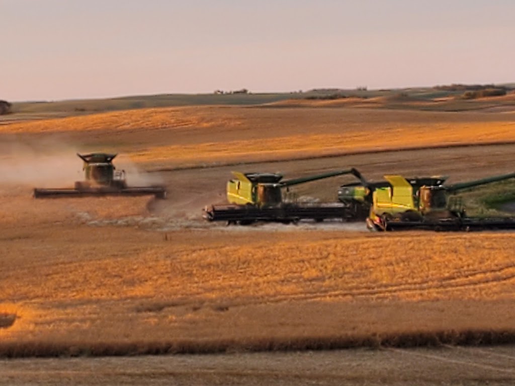 E&T Borstmayer Farms Ltd | NW 31 39 25 W2, Bruno, SK S0K 0S0, Canada | Phone: (306) 369-7774