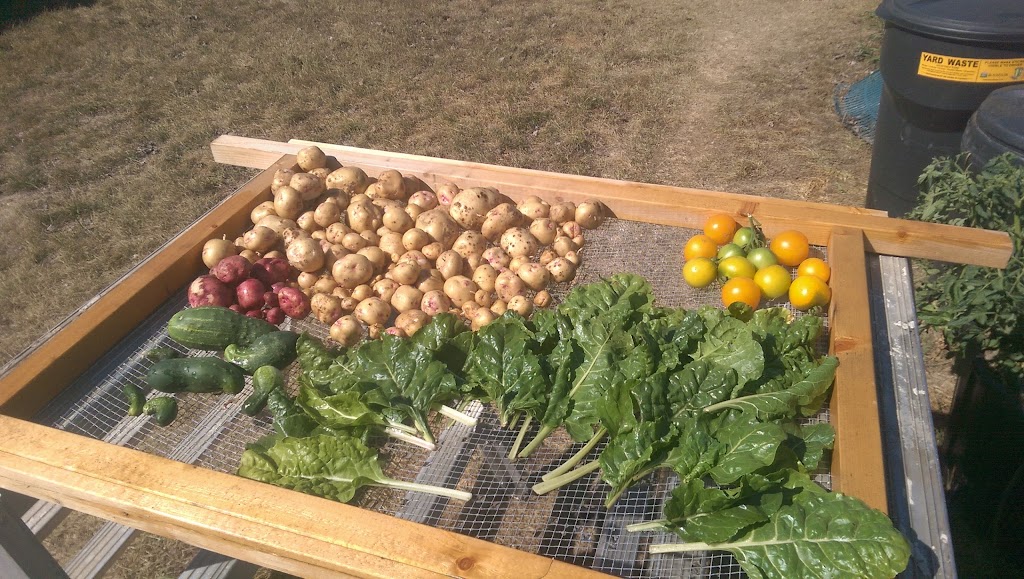 Aspen Community Garden | Aspen Dr, Blackfalds, AB T0M 0J0, Canada | Phone: (403) 885-4677