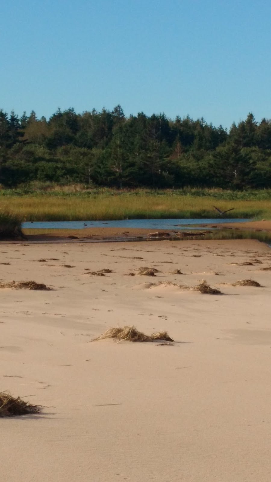Dune-Spirit Cottages | 57 Mayflower Ct, Morell, PE C0A 1S0, Canada | Phone: (902) 675-3784