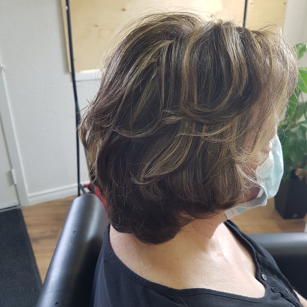 STUDIO P.ART Hair Design | 662 McPhillips St, Winnipeg, MB R2X 2H3, Canada | Phone: (204) 582-0755