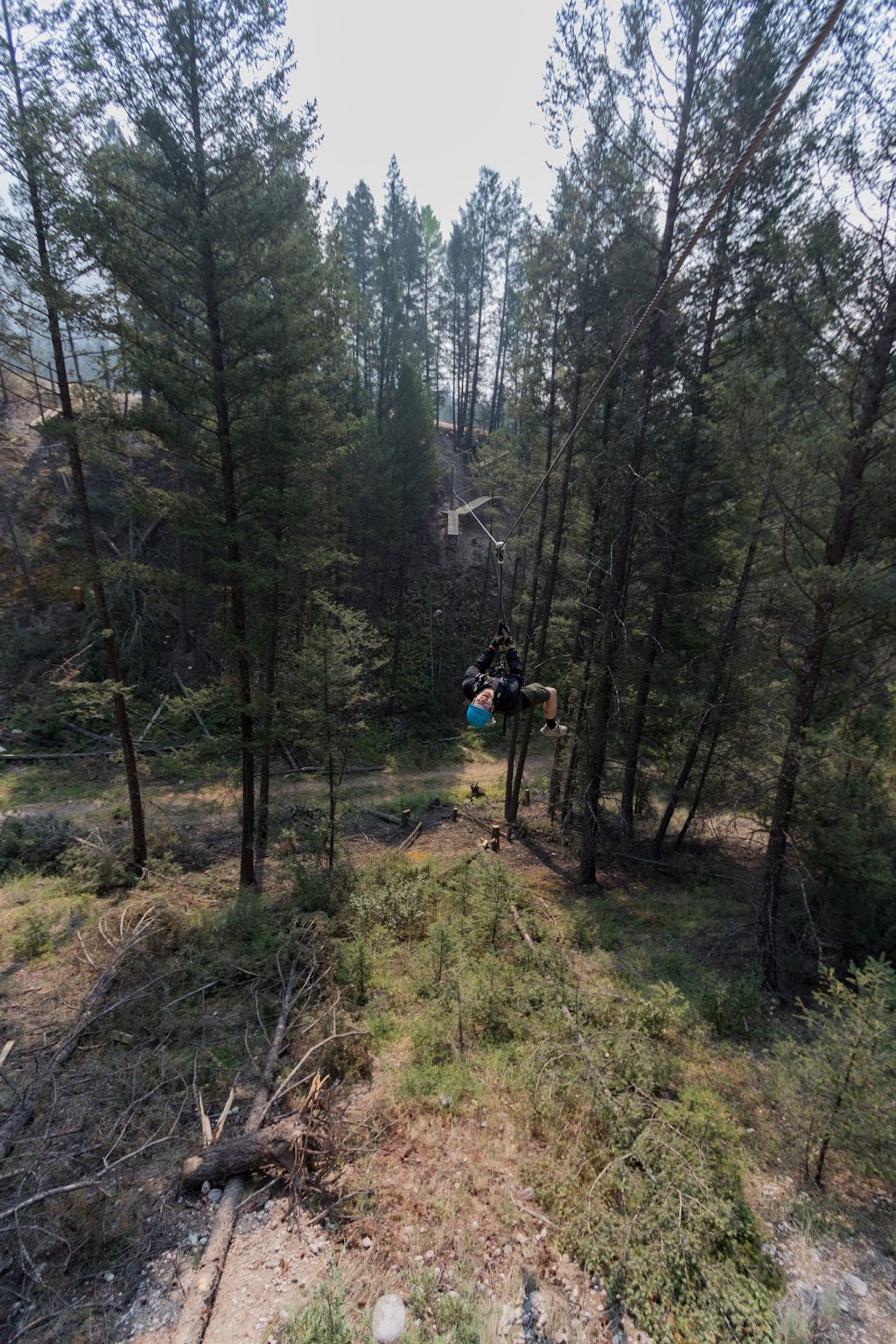Valley Zipline Adventures | 8393 BC-95, Radium Hot Springs, BC V0A 1M0, Canada | Phone: (250) 347-7627