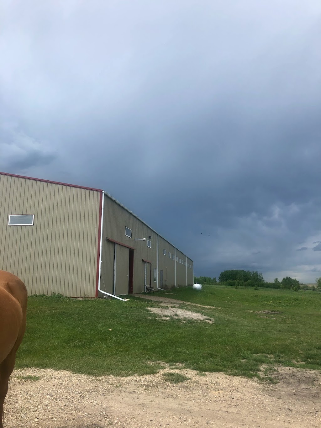 Sweetgrass Stables | 262234 Range Rd 290, Alberta T4A 0P7, Canada | Phone: (403) 226-0541