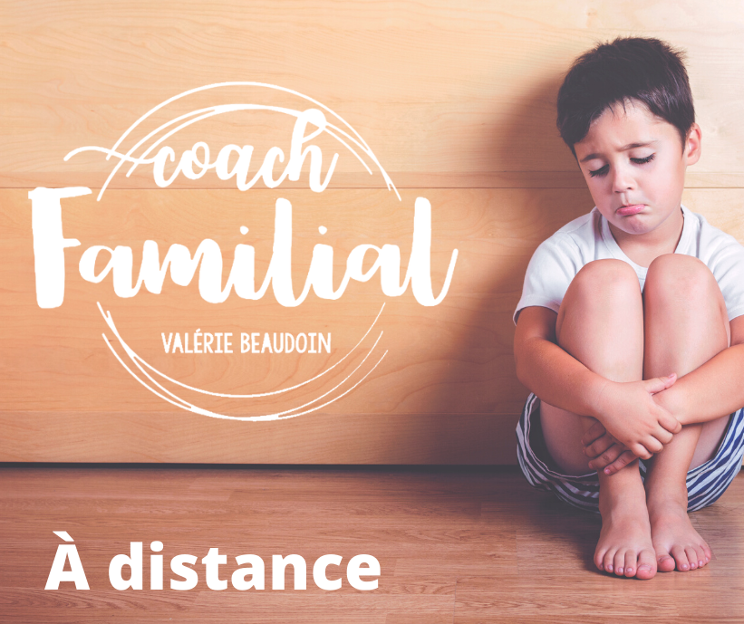 Valérie Beaudoin Coaching Familial et PNL | 841 Route du 4 Rang, Kinnears Mills, QC G6G 1B1, Canada | Phone: (418) 814-9646