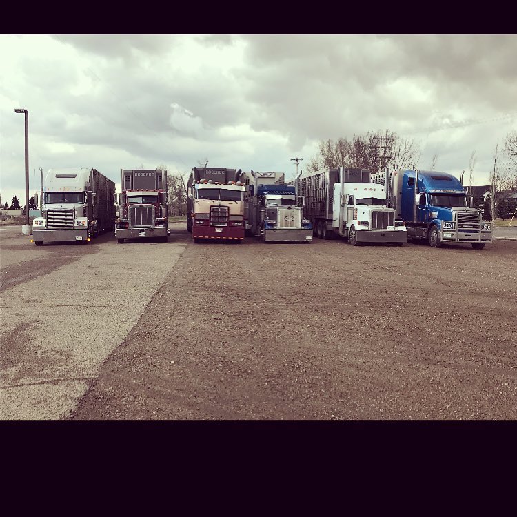 Roberge Transport Inc | Box 700, 1750 Stadacona St W, Moose Jaw, SK S6H 4P4, Canada | Phone: (800) 667-5190