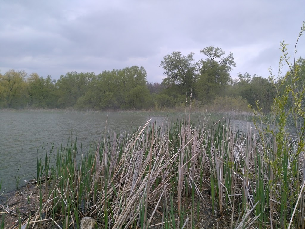 Lake Vista Park | 450 Emerald Ave, Oshawa, ON L1J 1K4, Canada | Phone: (905) 436-3311