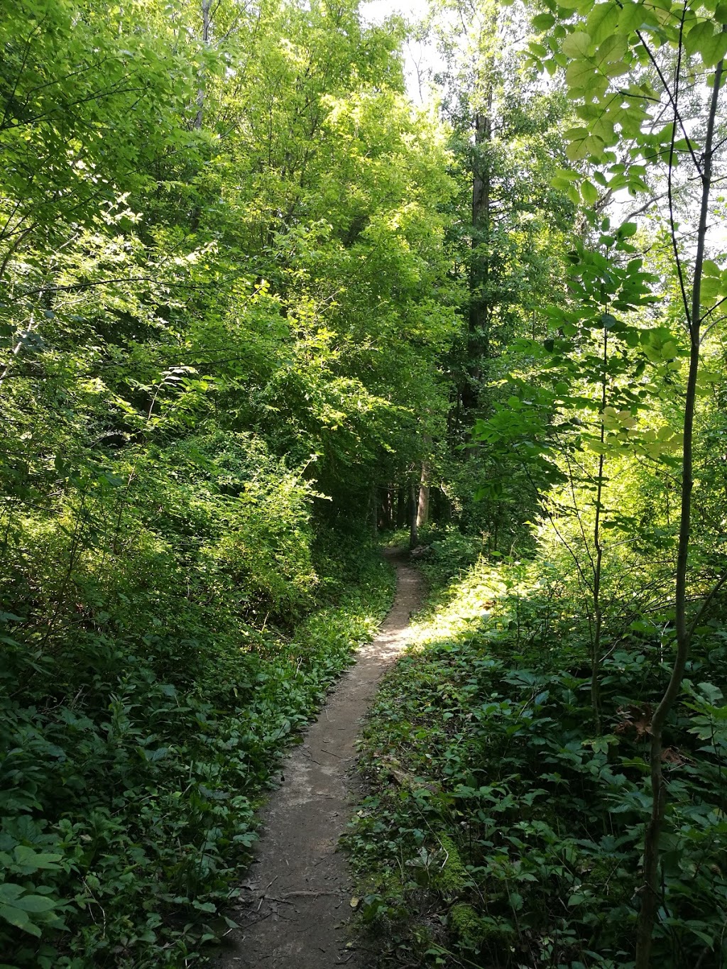 Kains woods environmental area | Unnamed Road, London, ON N6K 0A4, Canada