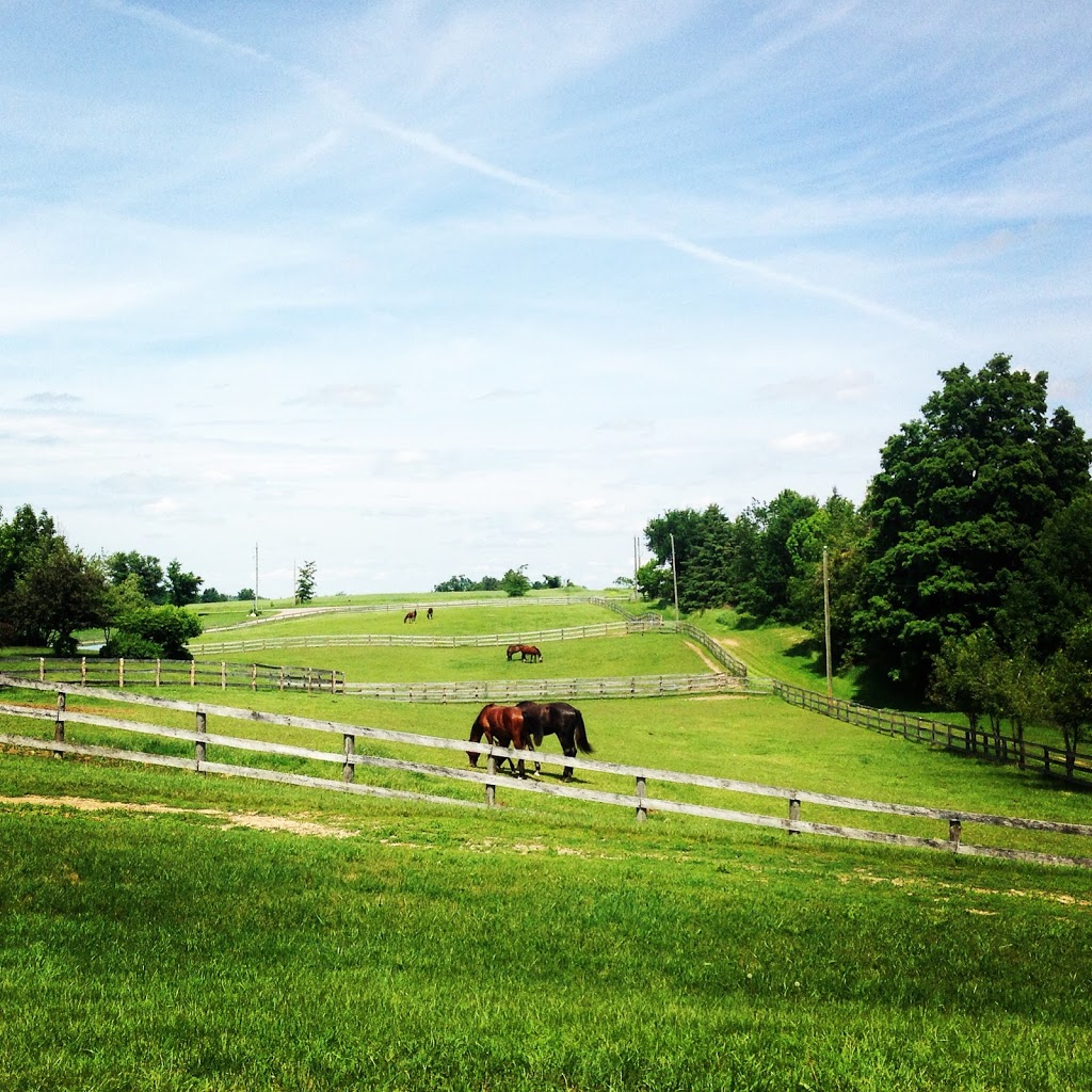 Crailin Stables | 14722 Heart Lake Rd, Inglewood, ON L7C 2J7, Canada | Phone: (519) 375-2337