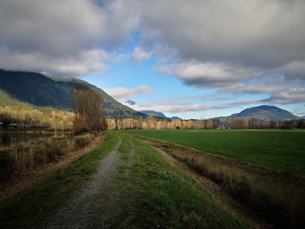 Eagle Eye Gallery | 41705 Taylor Rd, Deroche, BC V0M 1G0, Canada | Phone: (604) 826-4459