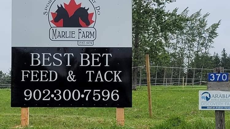 Best Bet Feed and Tack Store | 370 Ross Creek Rd, Canning, NS B0P 1H0, Canada | Phone: (902) 300-7596