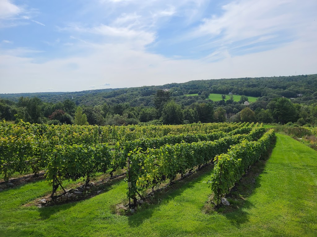 Bear River Vineyards | 133 Chute Rd, Bear River, NS B0S 1B0, Canada | Phone: (902) 467-4156