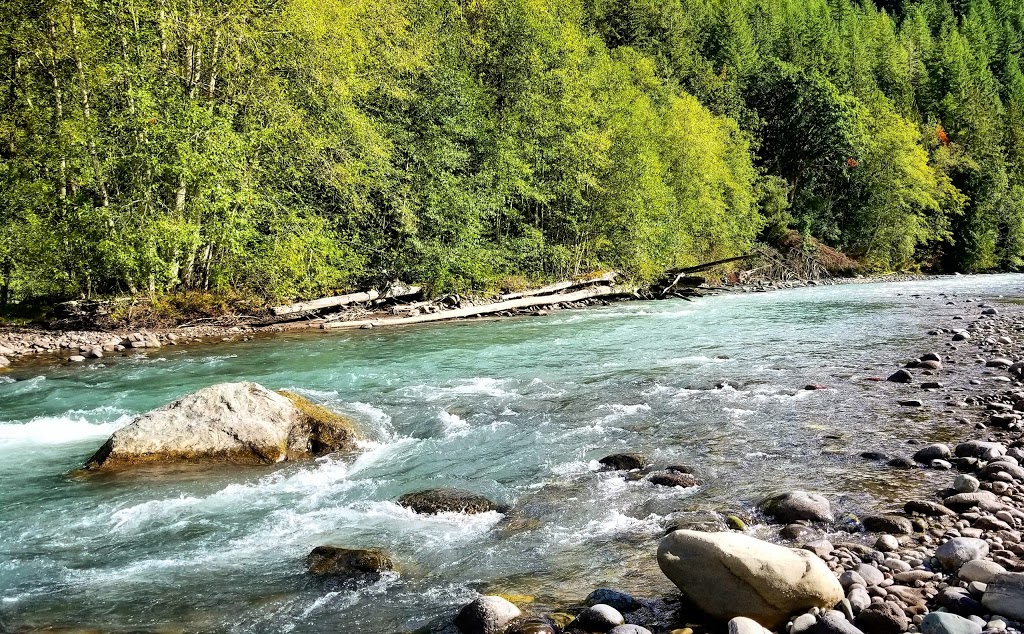 Mt Baker Bed and Breakfast | 9434 Cornell Creek Rd, Deming, WA 98244, USA | Phone: (360) 599-9111