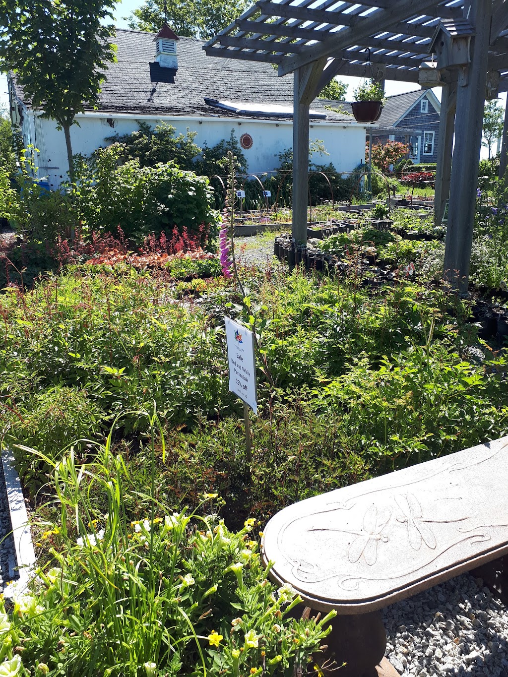 Ouest Ville Perennials | 1250 Argyle Sound Rd, West Pubnico, NS B0W 3S0, Canada | Phone: (902) 762-3198