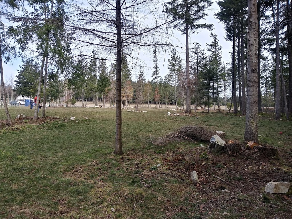 Dog Park | 1066-1074 Mt Baker Rd, Eastsound, WA 98245, USA