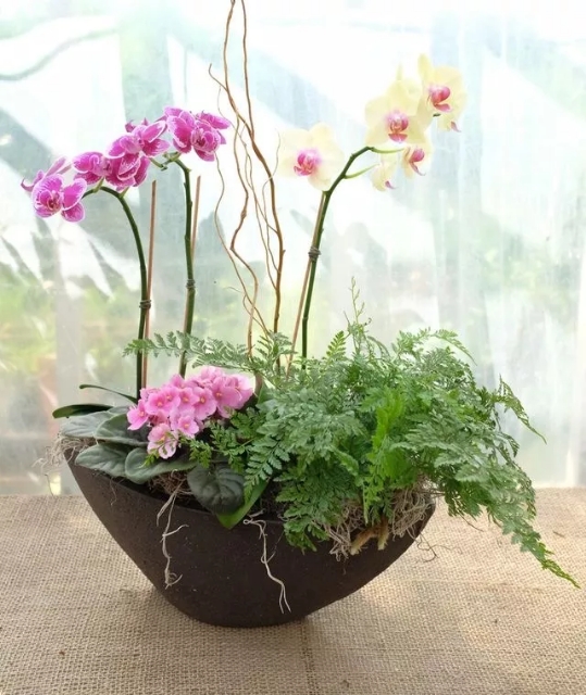 Bloom 24 Floristry | 1992 Brunswick St, Halifax, NS B3J 2G7, Canada | Phone: (902) 466-2424