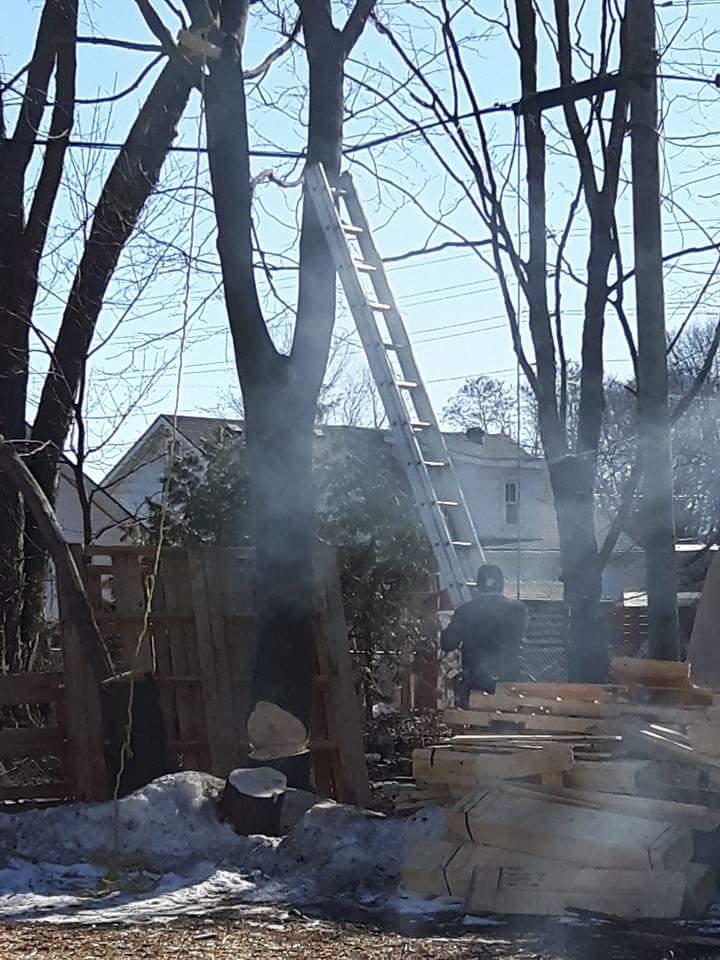 Big Wood Tree & Yard | 3769 Wood Ave, Orillia, ON L3V 6H3, Canada | Phone: (705) 795-4156