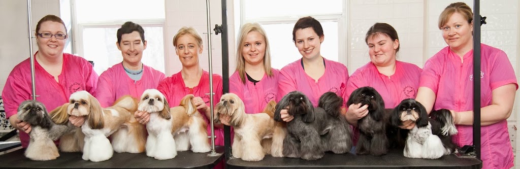 Alberta School of Dog Grooming | 5009 50th Ave, Leduc, AB T9E 6V9, Canada | Phone: (780) 980-5327