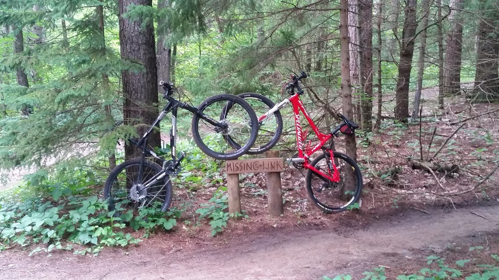 Durham Regional Forest | Concession Rd 7, Uxbridge, ON L9P 1R4, Canada | Phone: (905) 852-0095