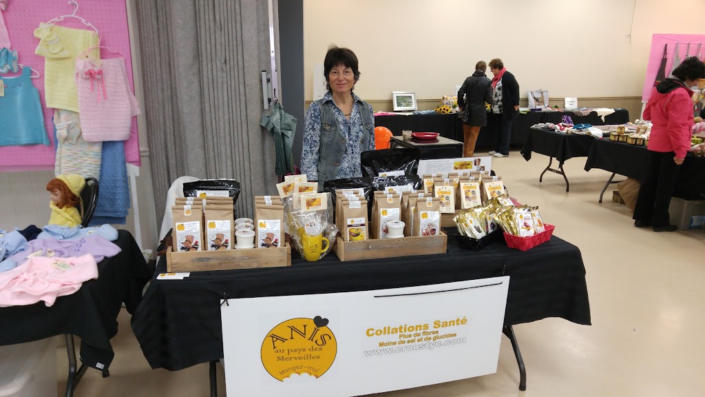 St-Nicolas Community Centre | 550 Rue de la Sorbonne, Saint-Nicolas, QC G7A 1Y1, Canada | Phone: (418) 831-6536