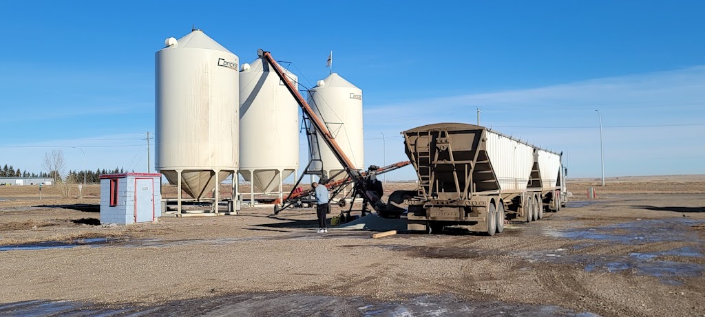Bassano Transloading inc. | 1056 2 Ave, Bassano, AB T0J 0B0, Canada | Phone: (778) 689-9990
