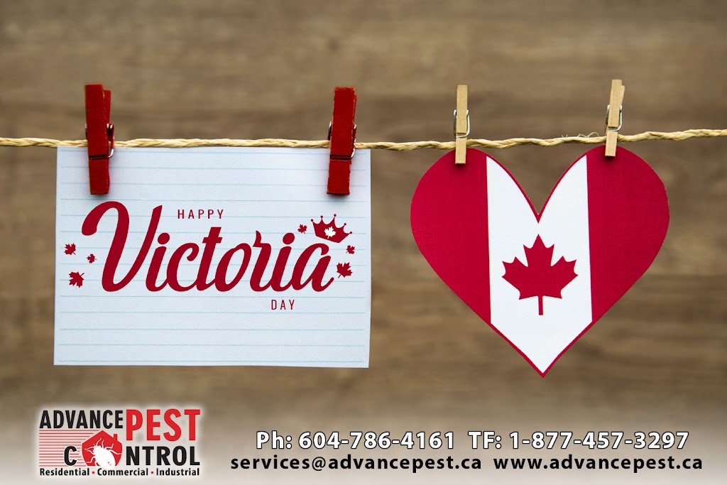 Advance Pest Control Surrey/Langley | 15299 68 Ave #203, Surrey, BC V3S 2C1, Canada | Phone: (604) 786-4161