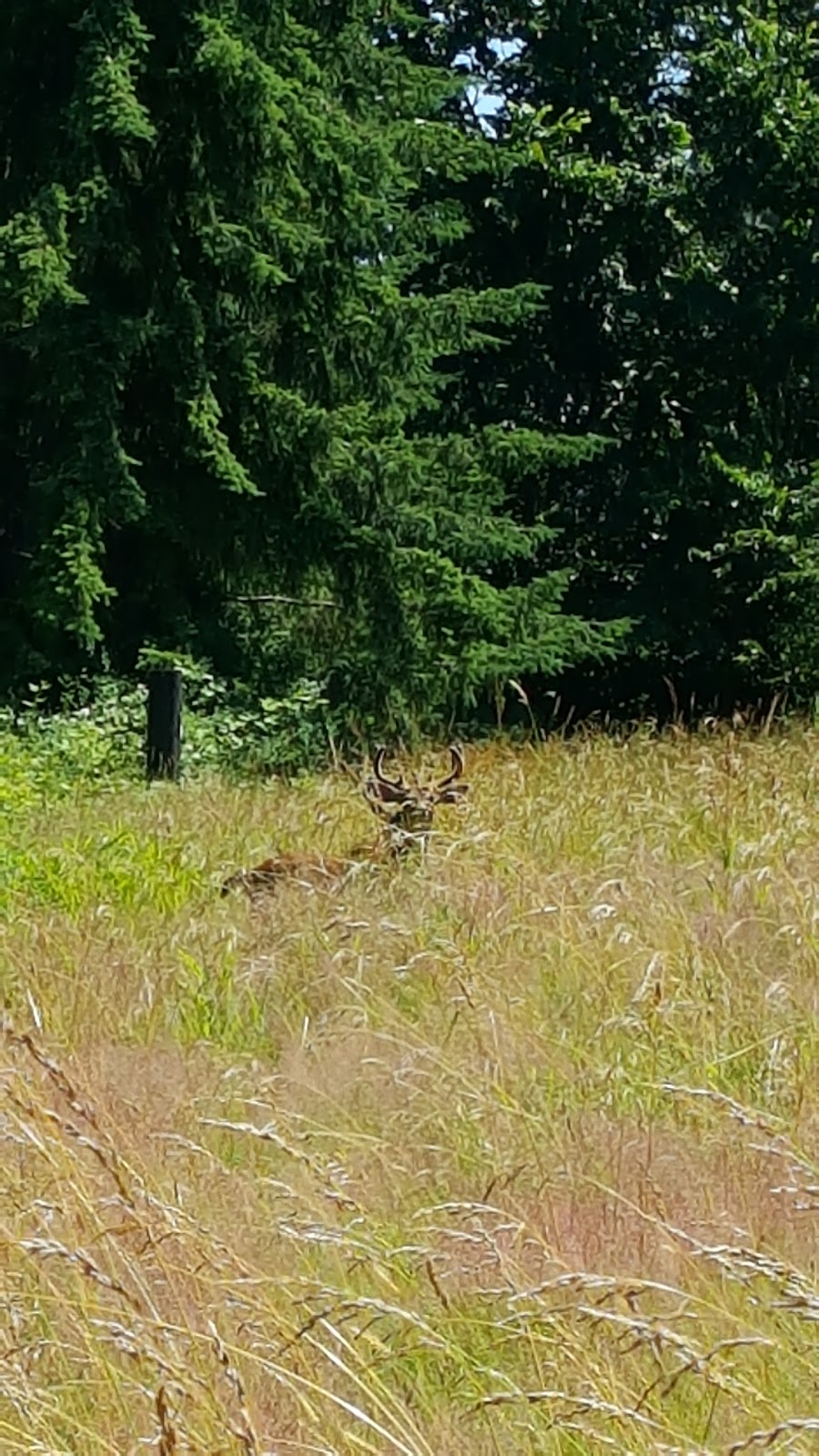 Curry Preserve | 2449 N Nugent Rd, Lummi Island, WA 98262, USA