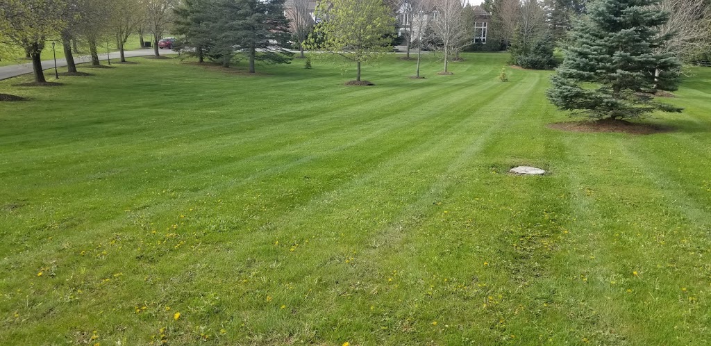 W.Van Dongen Landscaping Ltd. | 3071 King St, Inglewood, ON L7C 0S9, Canada | Phone: (905) 838-3111