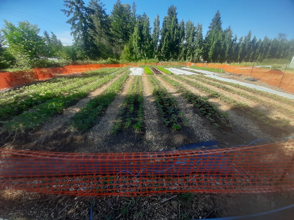 Natures Edge Farm | 4715 Bench Rd, Duncan, BC V9L 6L7, Canada | Phone: (250) 252-6997