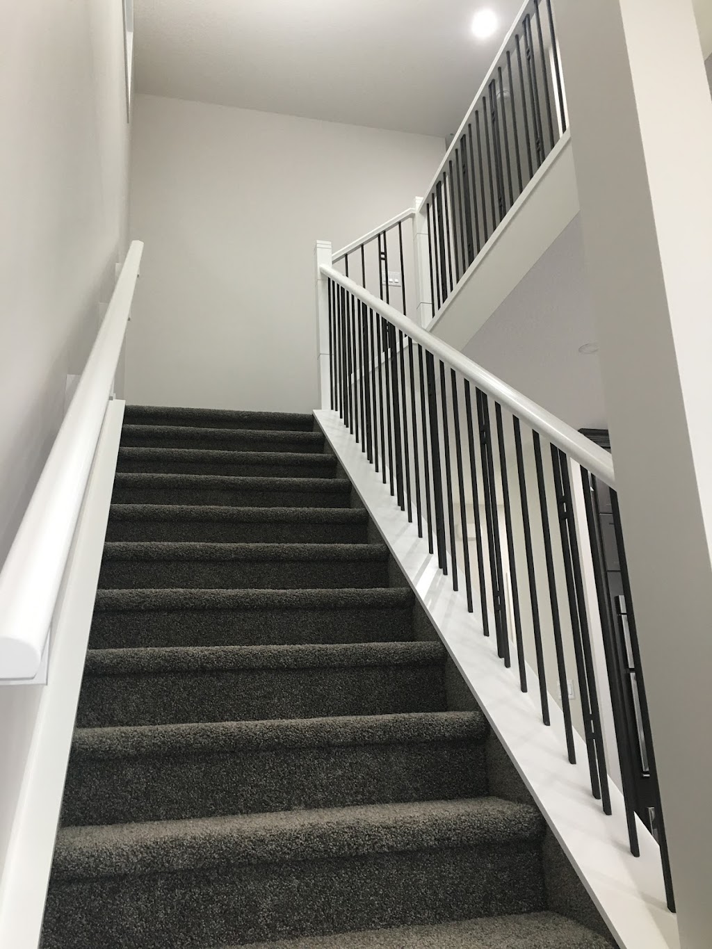 NewLook Canadian Painting | 140 Lysander Pl SE, Calgary, AB T2C 1L8, Canada | Phone: (587) 215-5726