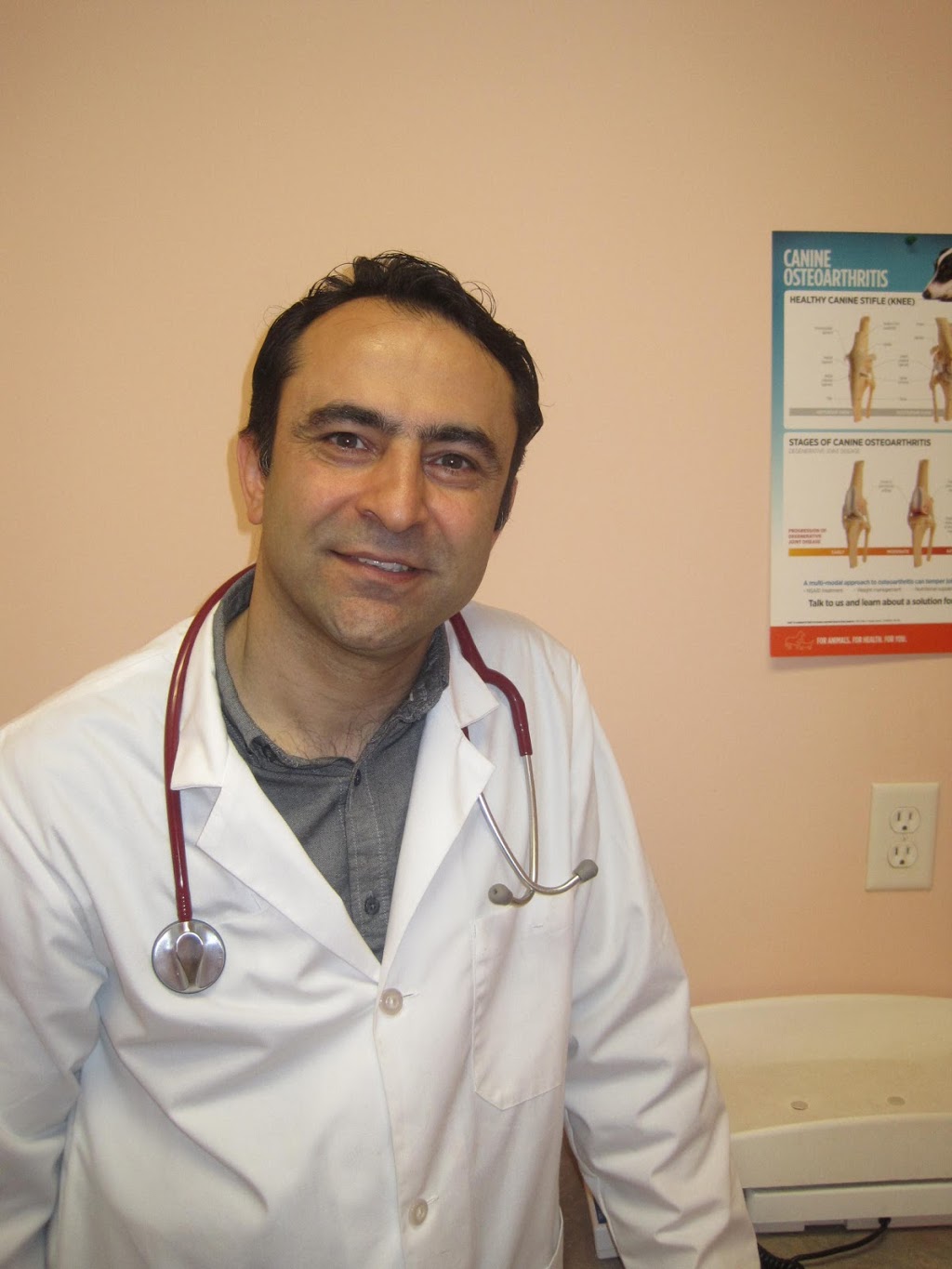 Champlain Animal Clinic | 3150 E 54th Ave #190, Vancouver, BC V5S 1Z1, Canada | Phone: (604) 439-0007