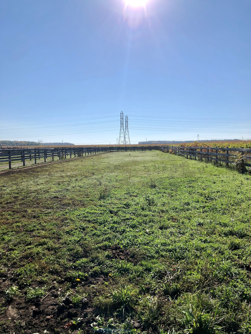 Ranch Dubuc Stratford | 50 Rang St Zephirin, Beauharnois, QC J6N 3B8, Canada | Phone: (450) 525-0942