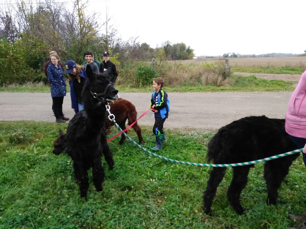 Maple Hill Urban Farm | 200 Moodie Dr, Nepean, ON K2H 8K6, Canada | Phone: (613) 828-2987