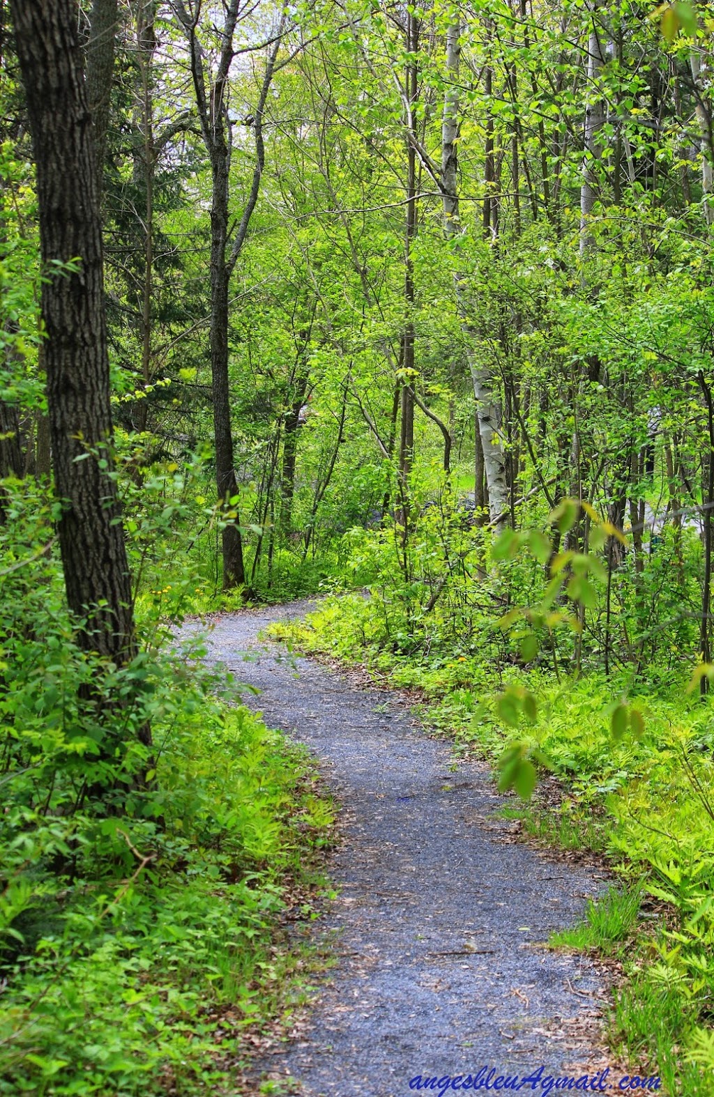 Parc des Rapides-du-Diable | 749 QC-173, Beauceville, QC G5X 1C2, Canada