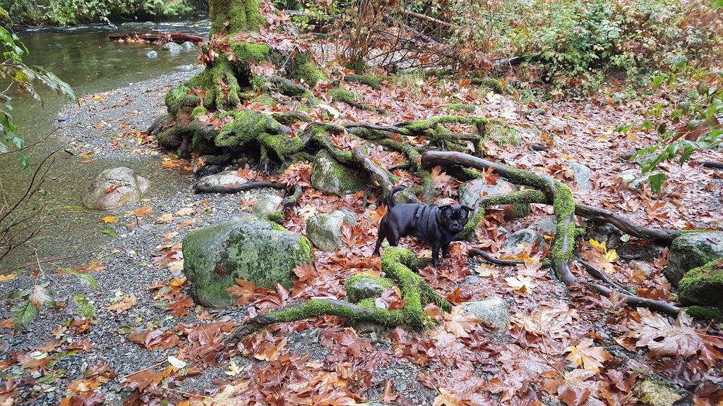 Group camp sites | Langford, BC V9B 6H6, Canada | Phone: (250) 474-1336
