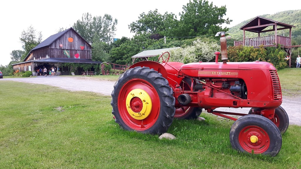 Le Roi de la Fraise Gino Maynard | 20 Petit rang Saint-Charles, Saint-Paul-dAbbotsford, QC J0E 1A0, Canada | Phone: (450) 379-9252