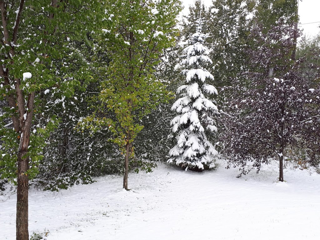 The Grange District Park | 413 Hemingway Rd NW, Edmonton, AB T6M 0J8, Canada