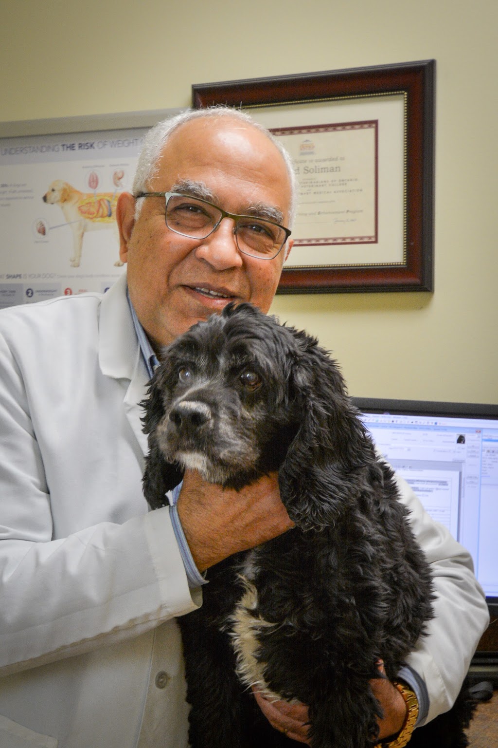 Erin Folk Animal Hospital | 4099 Erin Mills Pkwy #11, Mississauga, ON L5L 3P9, Canada | Phone: (905) 569-3647