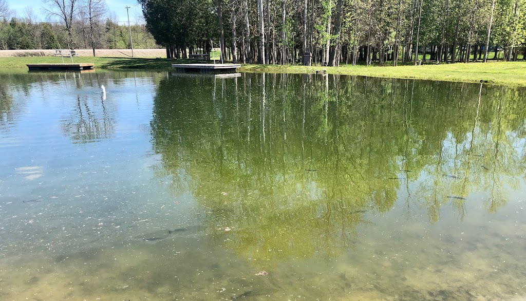 Public Fee Fishing | 25472 Lake Ridge Rd, Georgina, ON L0E 1N0, Canada | Phone: (647) 295-1866
