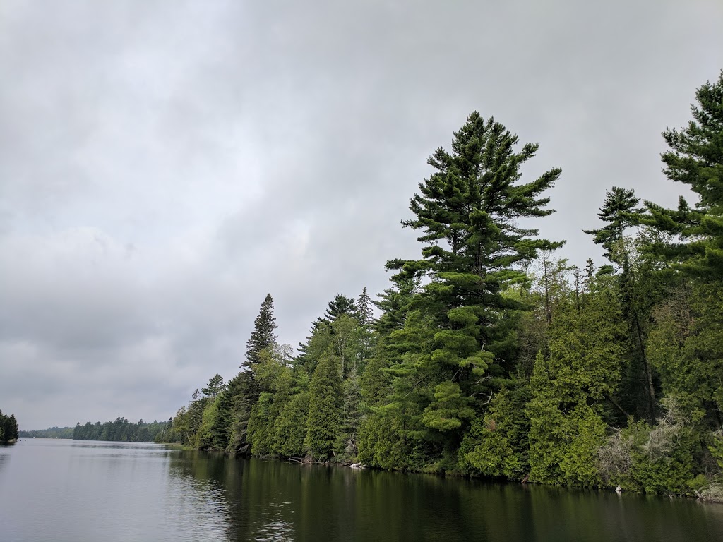 Moose Point Cottages Ltd. | 207 Moose Point Rd, Crystal Falls, ON P0H 1L0, Canada | Phone: (705) 758-1112